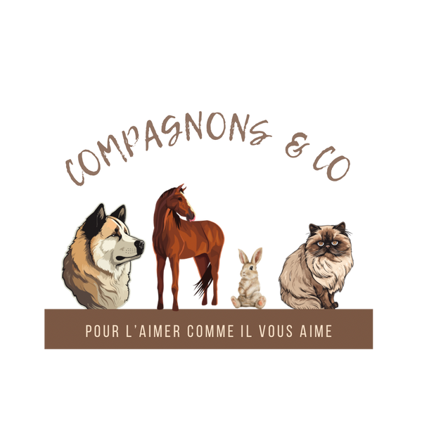 Compagnons & Co