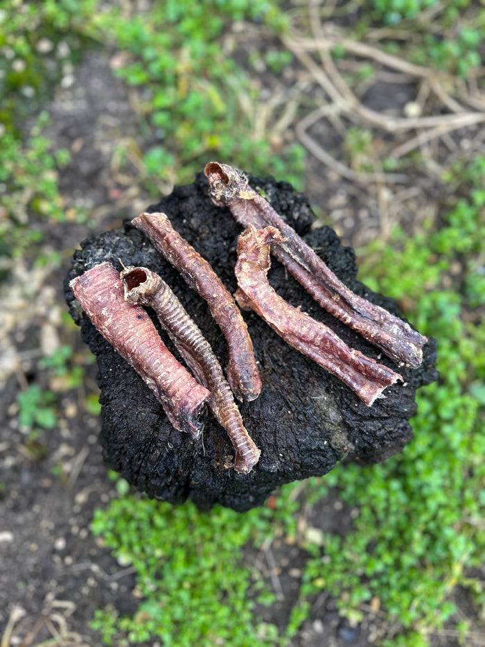 Trachée d'agneau