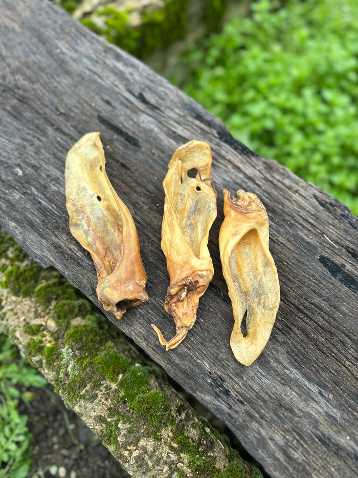 Oreille de chèvre
