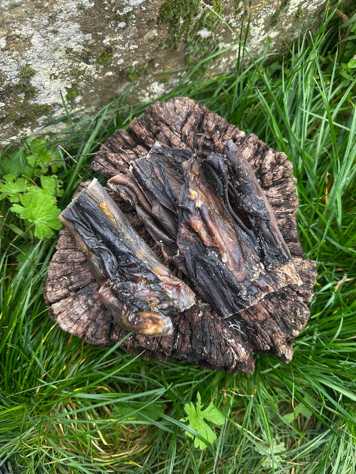 Peau de cerf