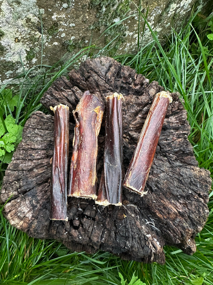 Pénis de boeuf 12CM