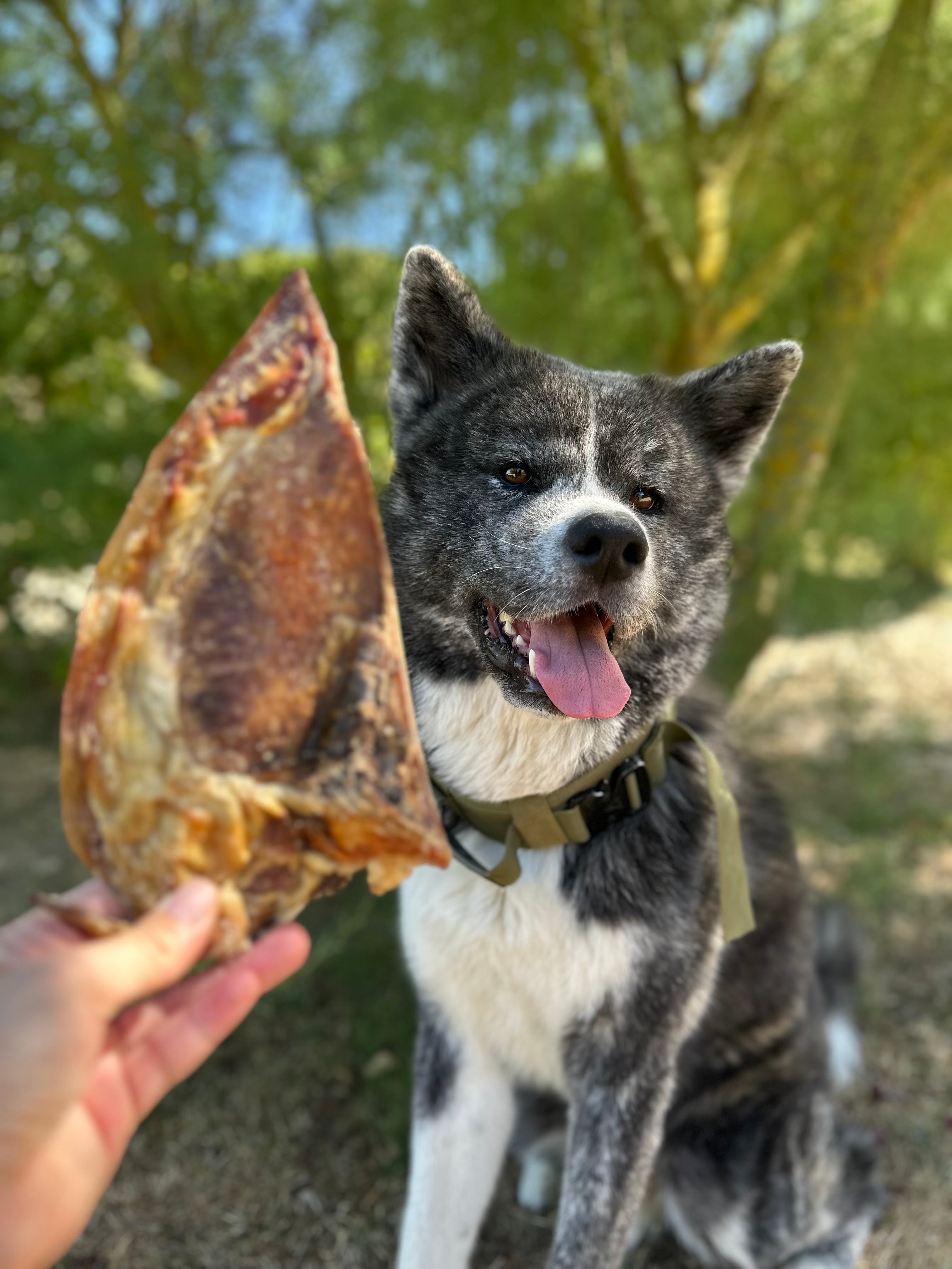 Mini omoplate de boeuf