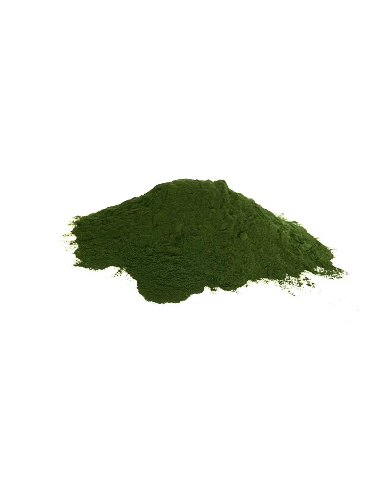 Spiruline pour chiens et chats - Complément naturel