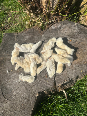 Patte de lapin avec poils - 100g