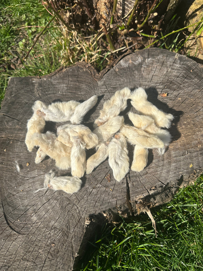 Patte de lapin avec poils - 100g