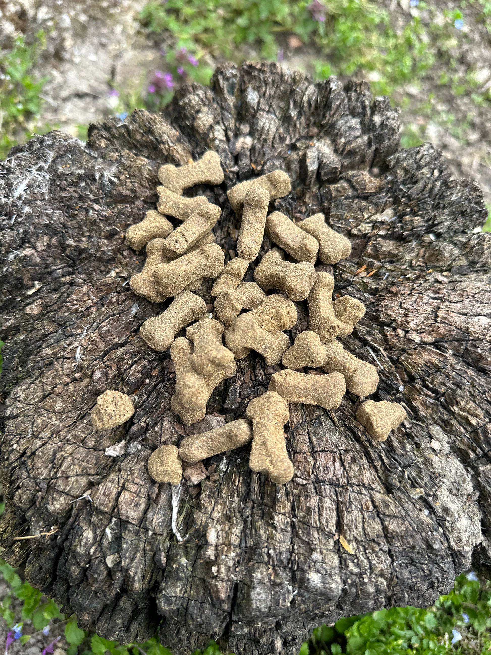 Petit os d'autruche - 100g