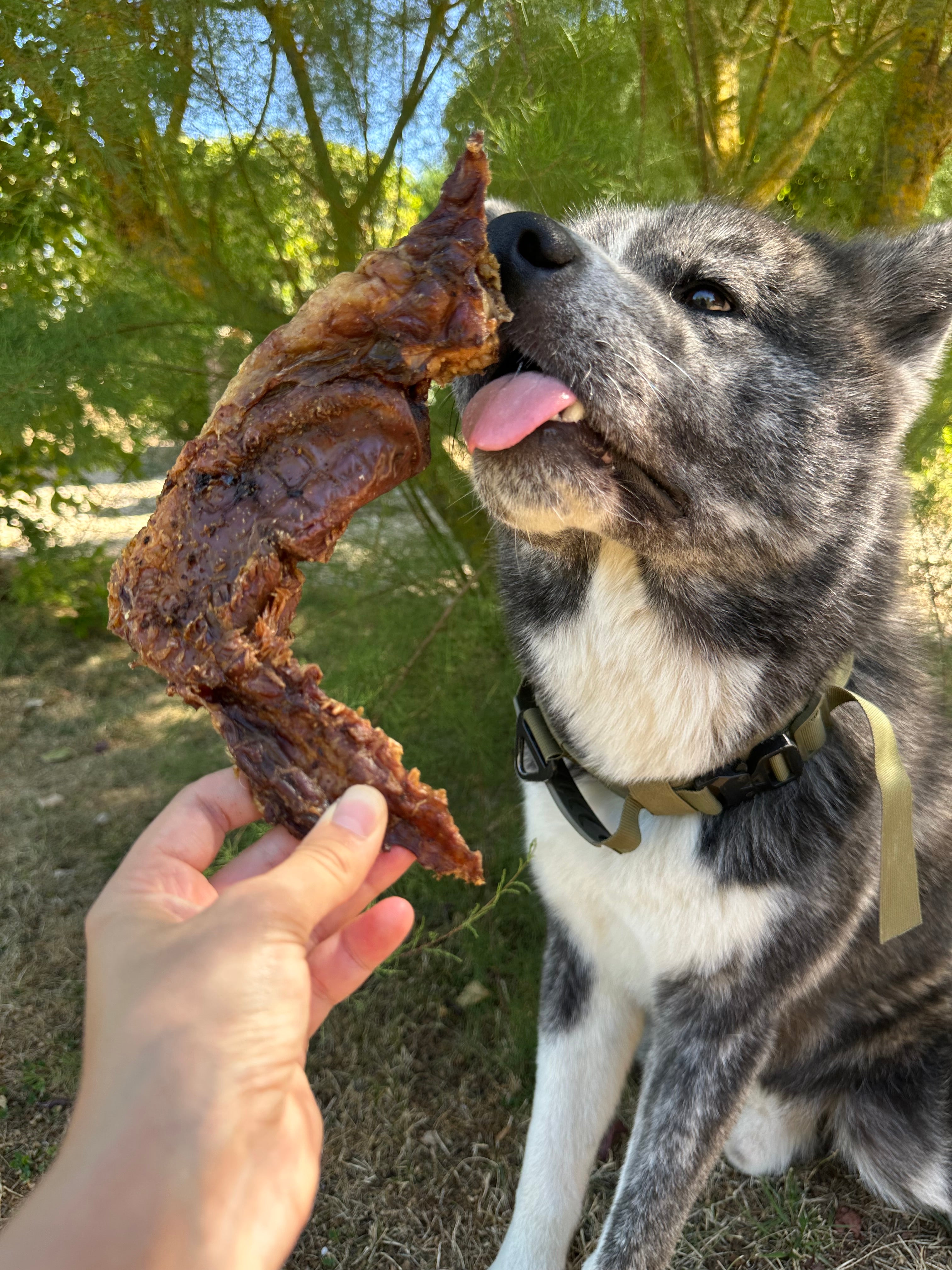 Lèvre de bœuf
