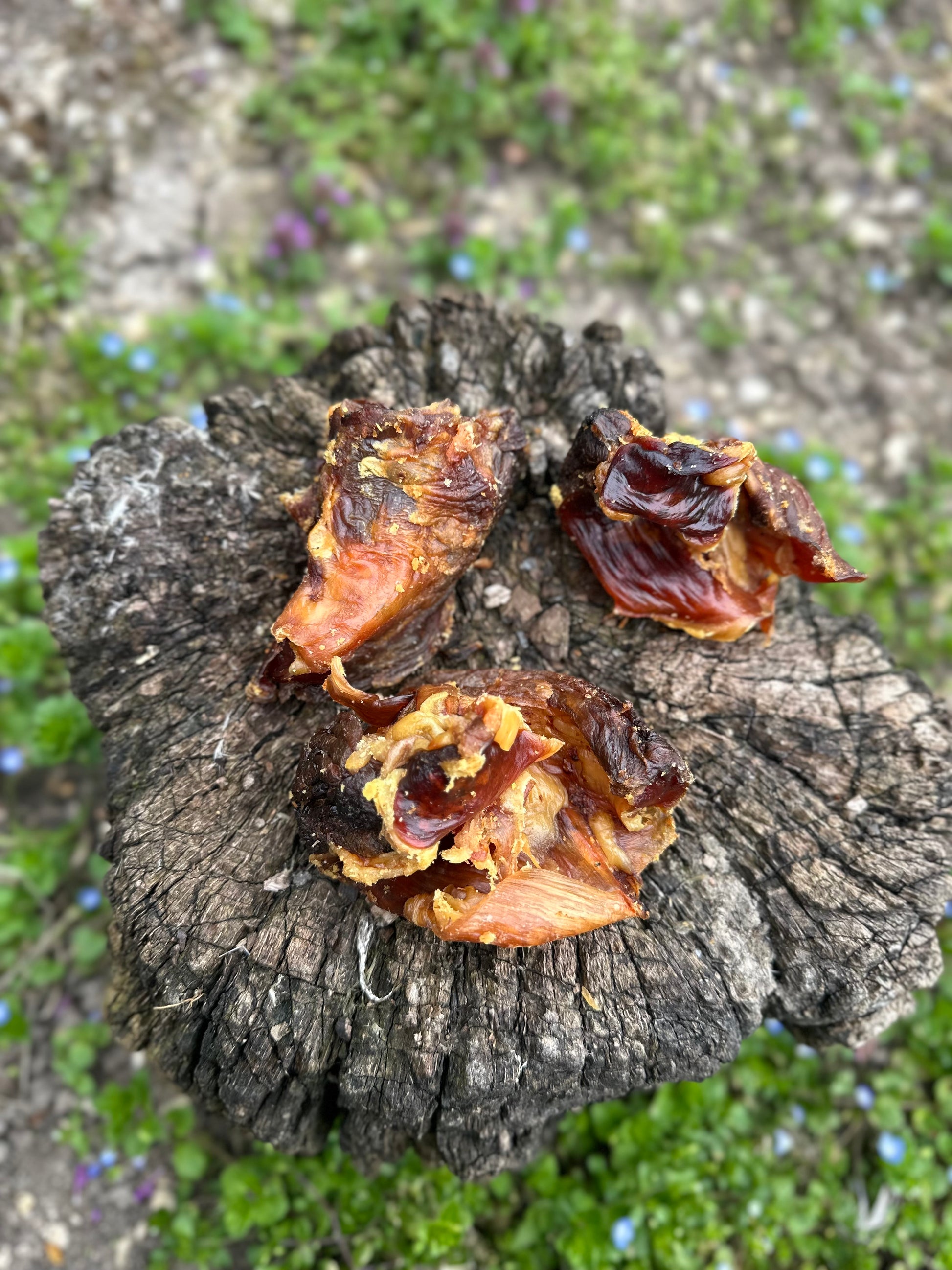Rotule d'autruche