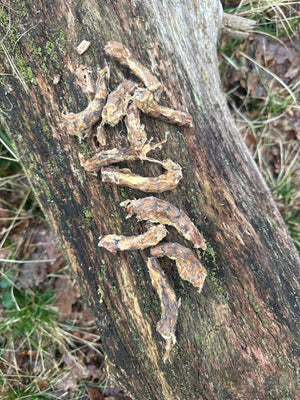 Cou de poulet - 100gr