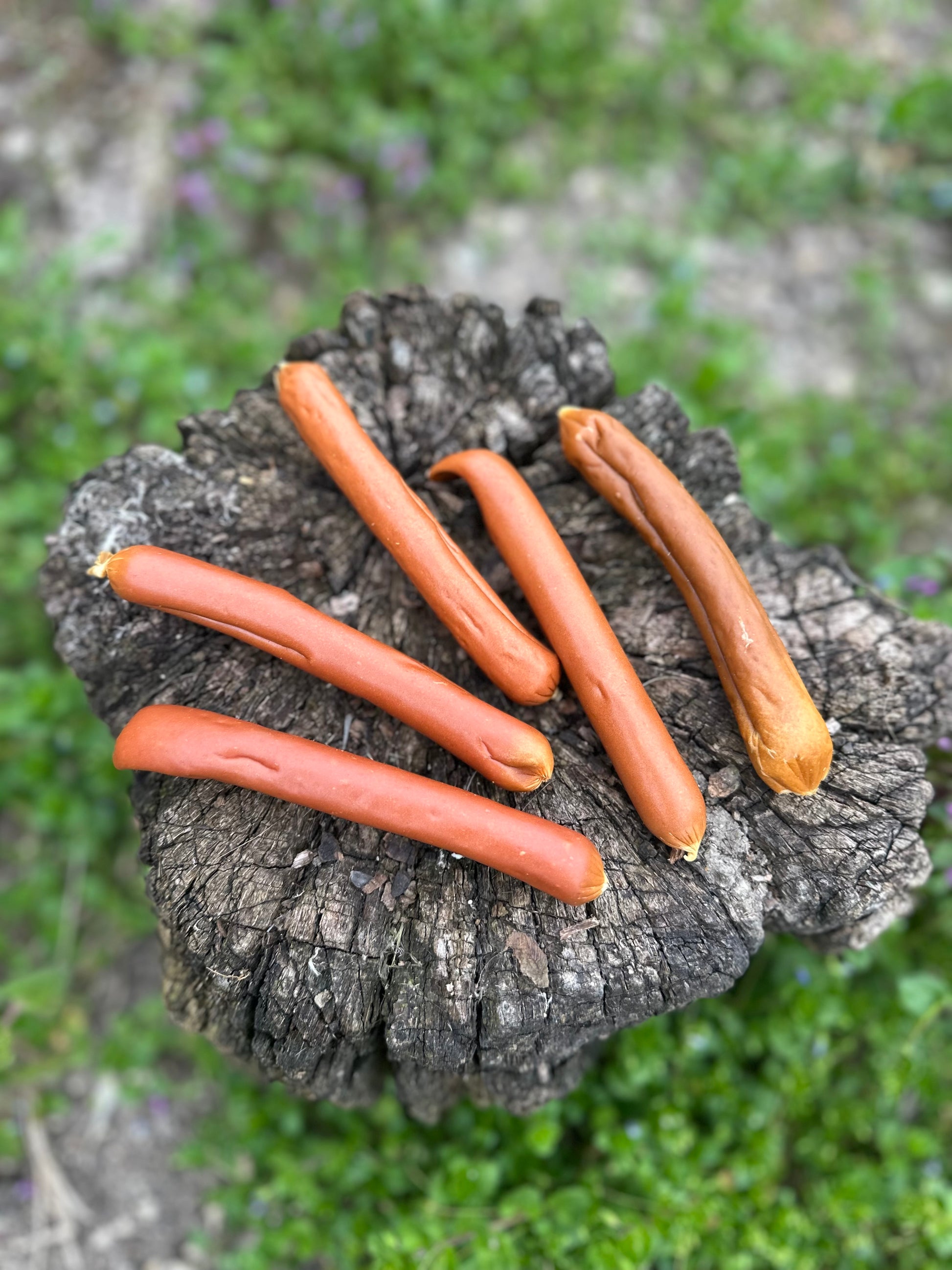 Saucisse de saumon