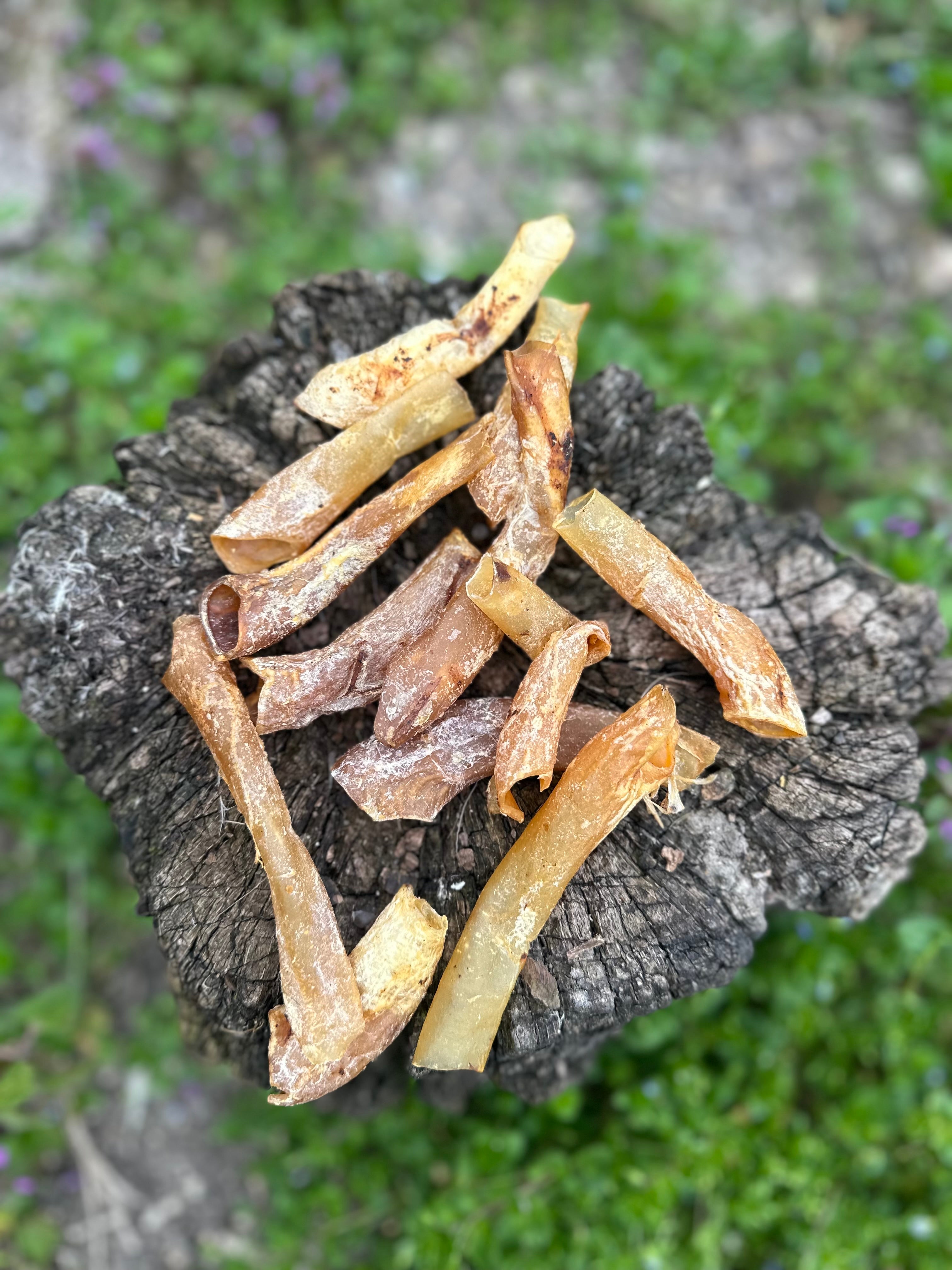 Aorte d'autruche - 100g