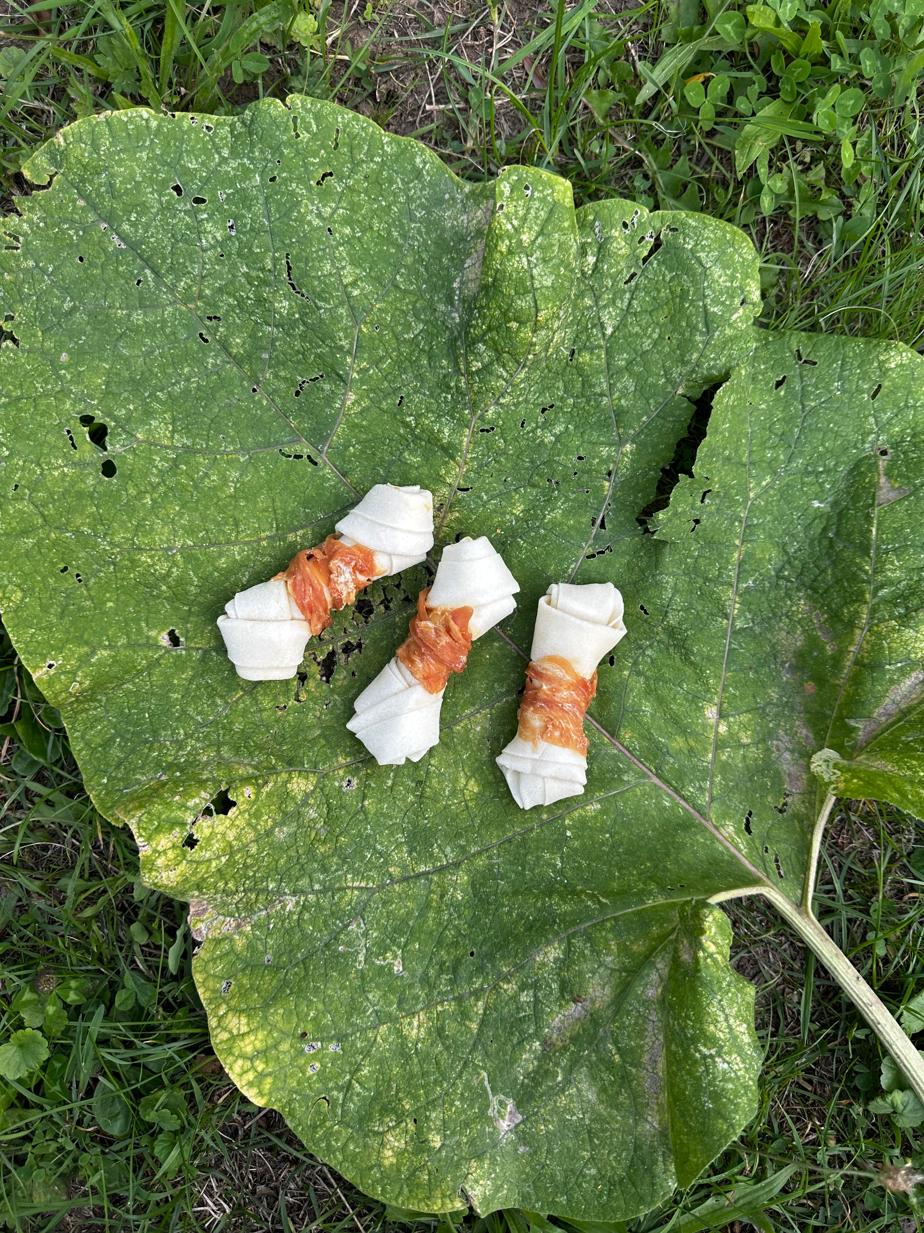 Os noué avec poulet 10CM