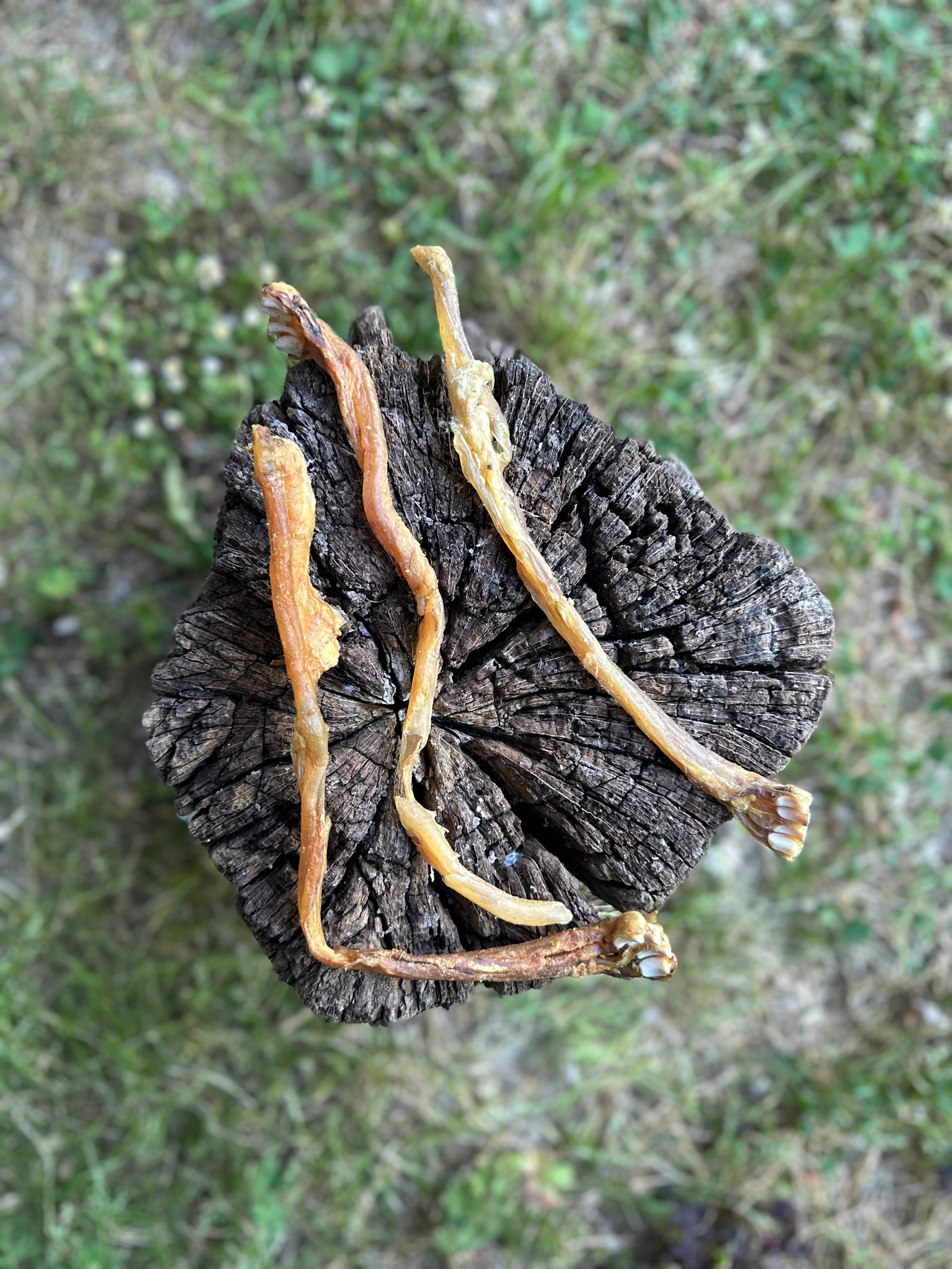 Tendon d'achille d'agneau
