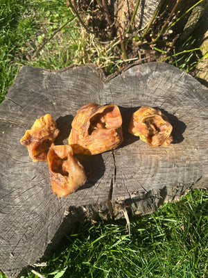 Auricule de cochon