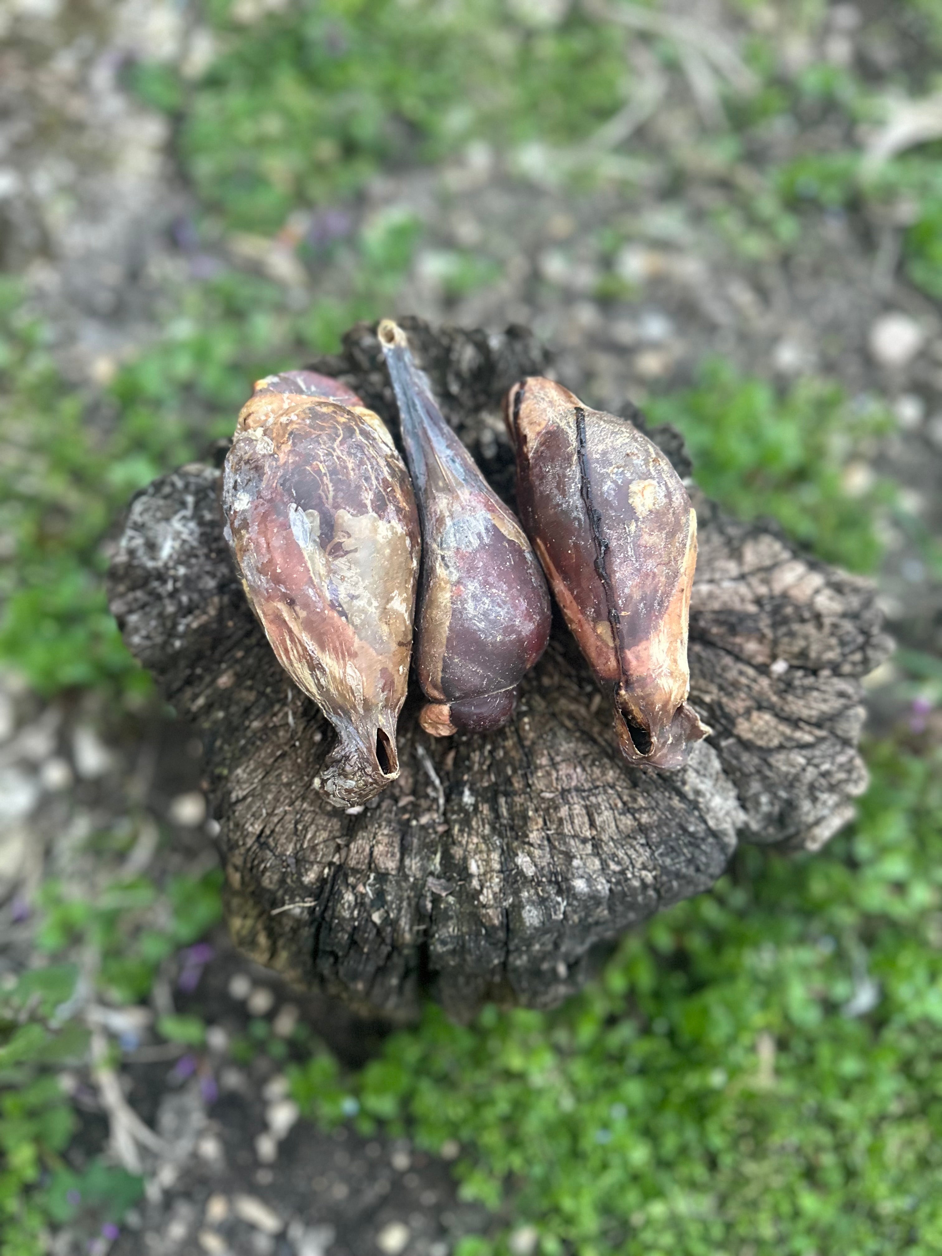 Testicule d'agneau