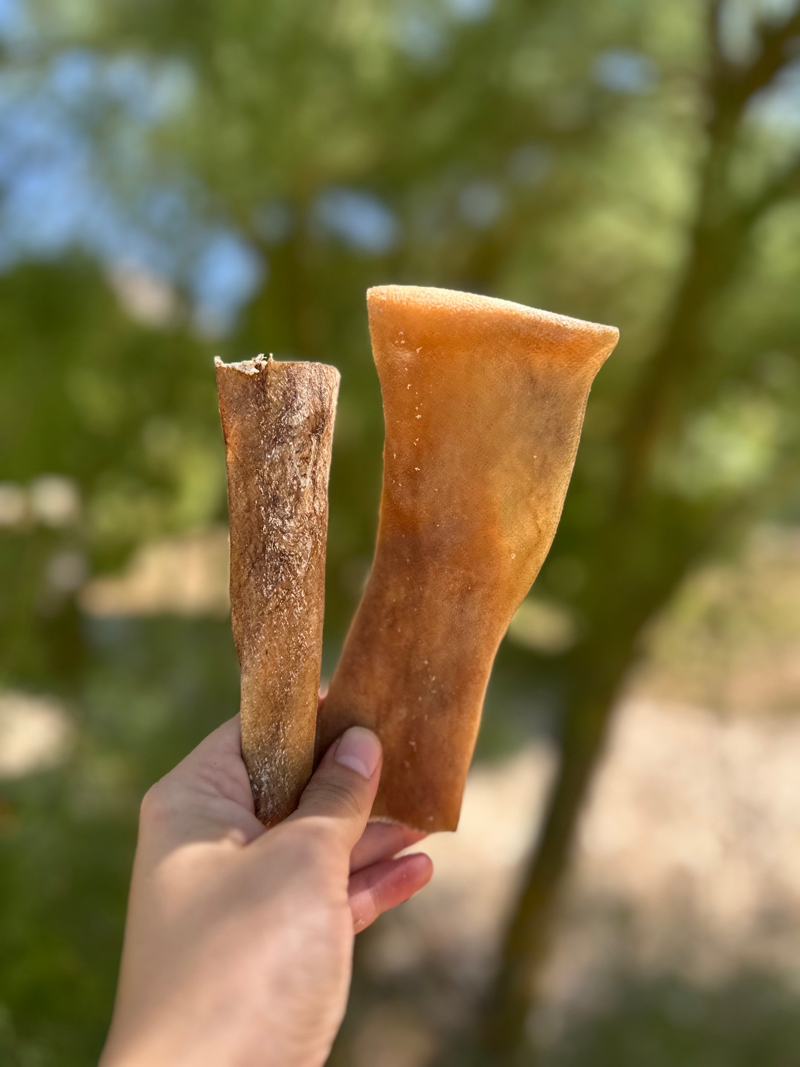 Cuir chevelu de chameau - 100g