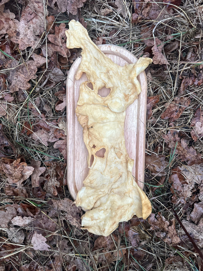 Plaque de peau de tête d'agneau