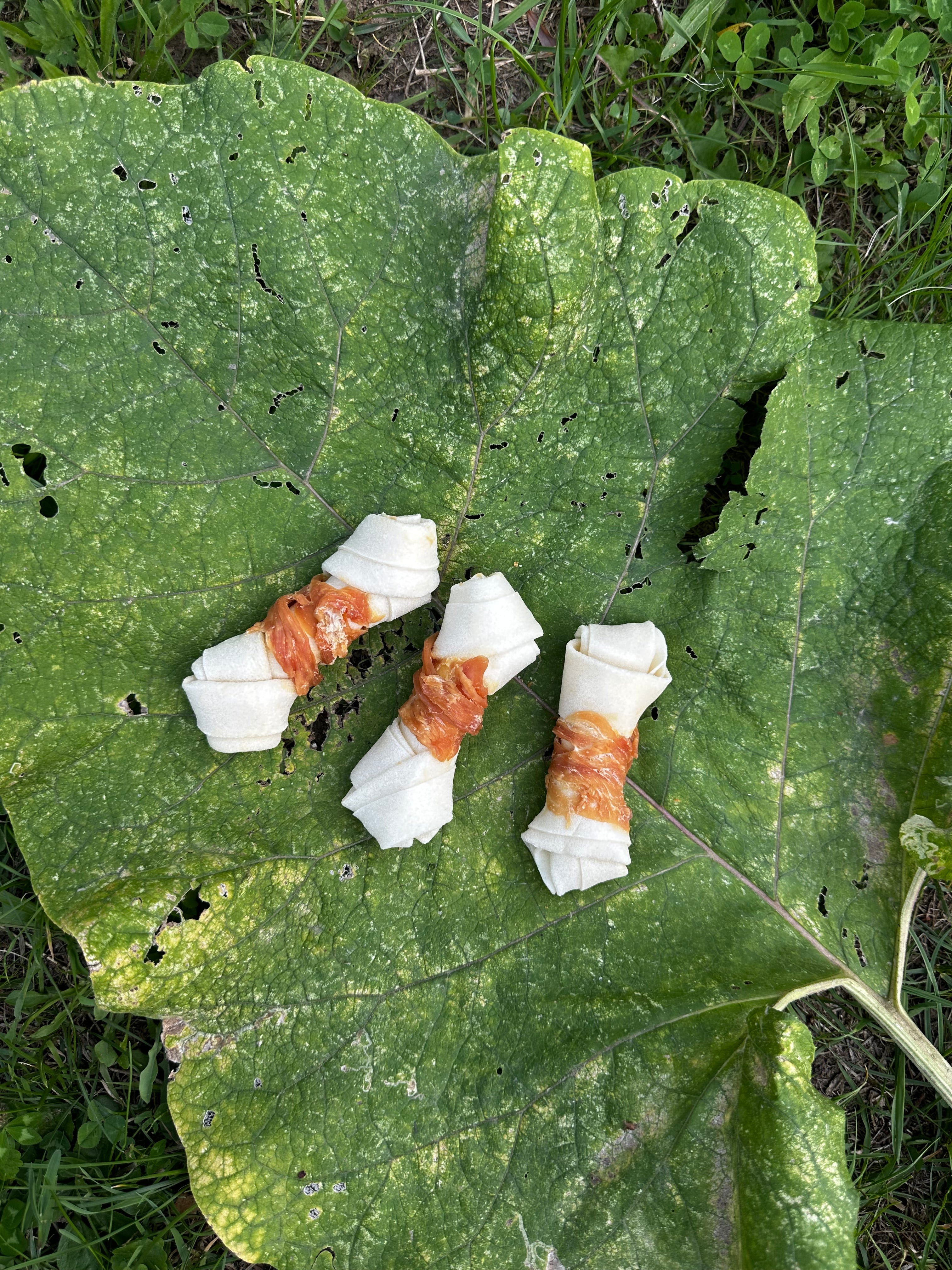 Os noué avec poulet 10CM