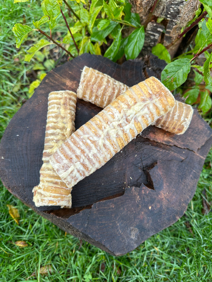 Trachée de bœuf 15CM