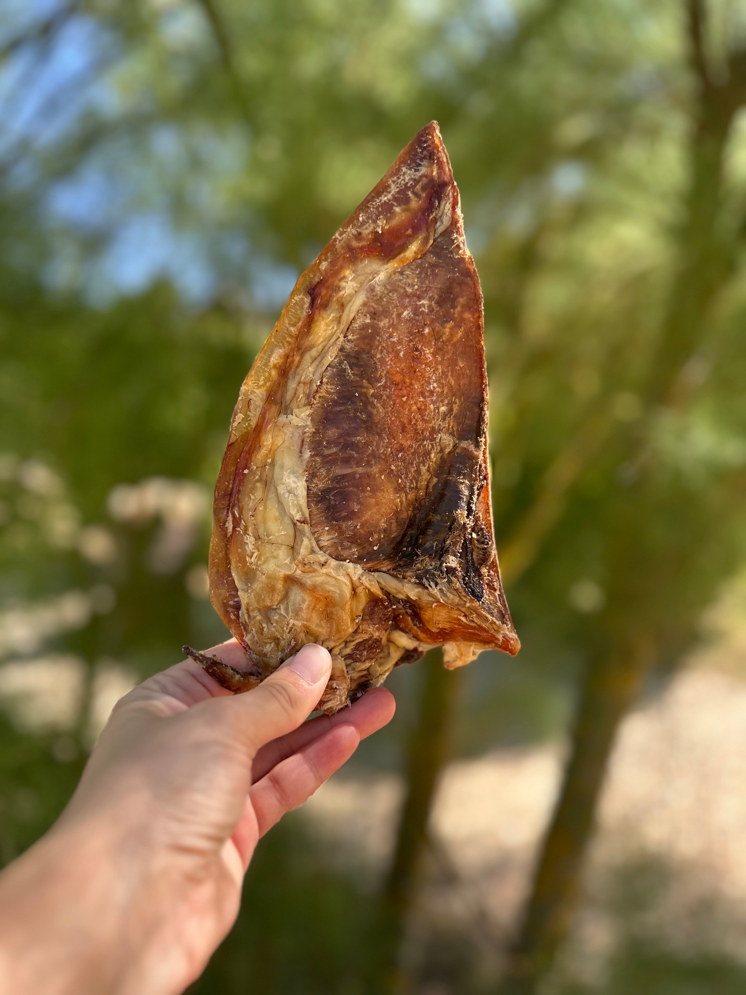 Mini omoplate de boeuf