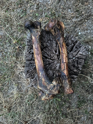 Os de cerf - S