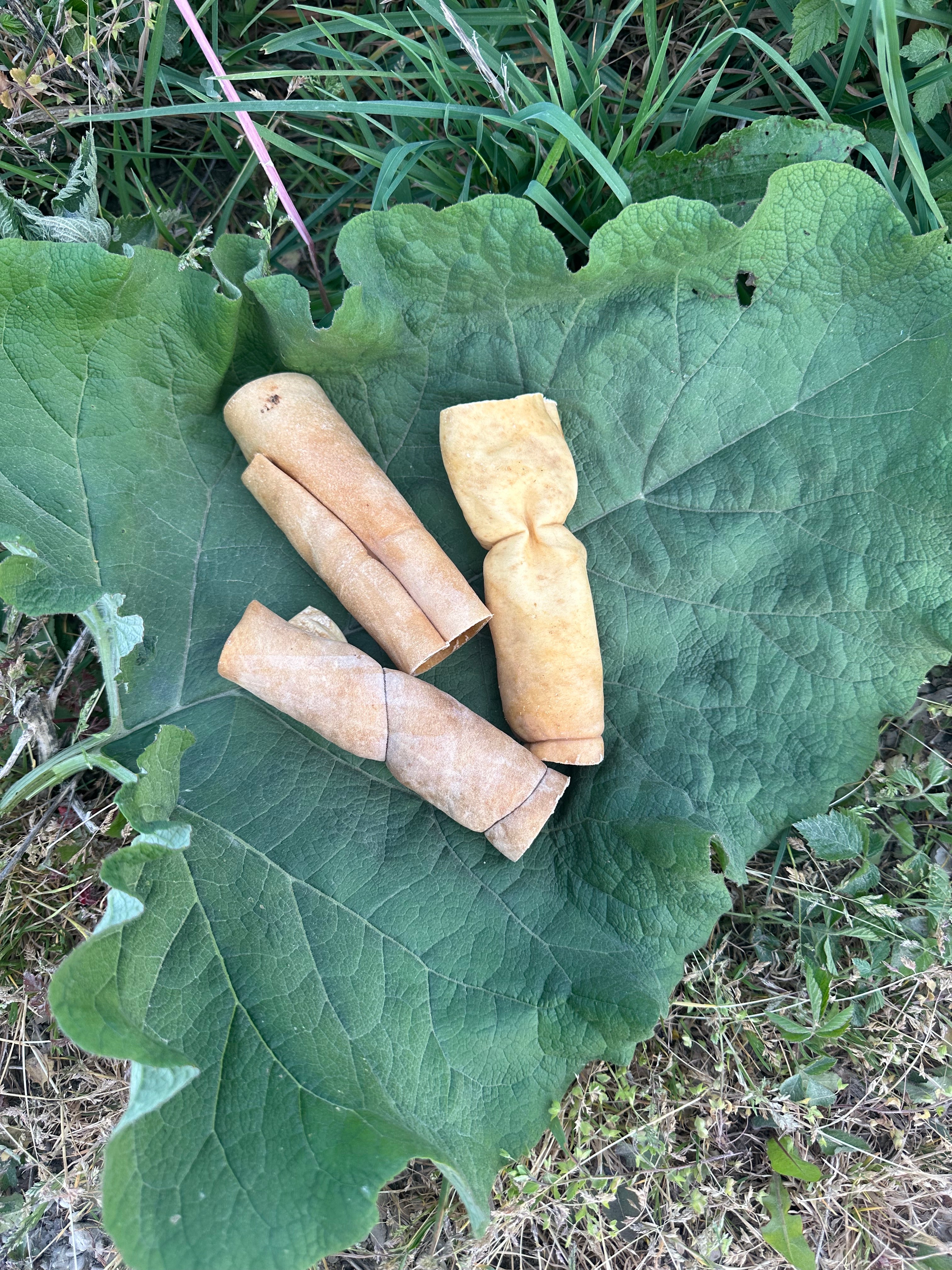 Peau de buffle roulée 15CM