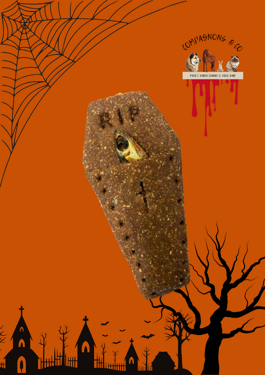 Friandise spécial Halloween - Cercueil anchois