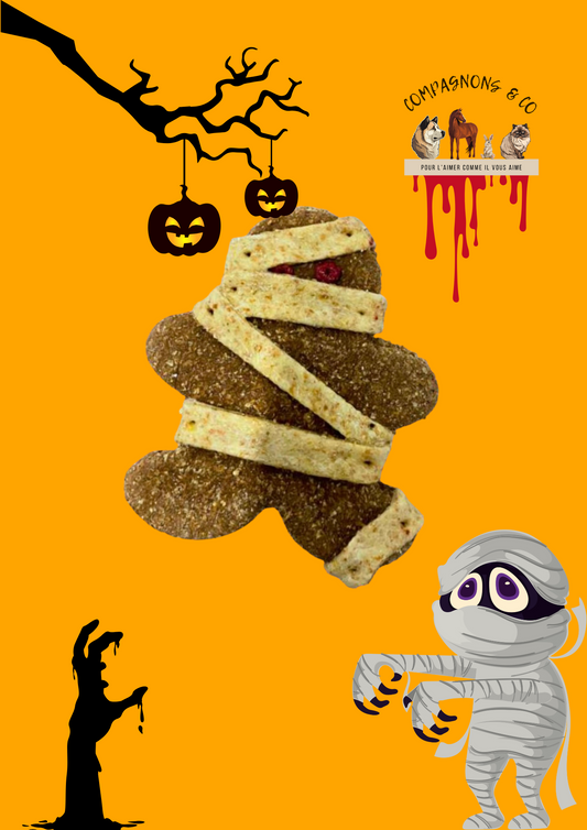 Friandise spécial Halloween - Mummy Zombie