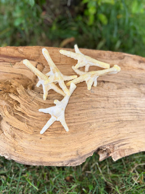 Patte de poulet soufflée blanche