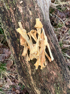 Peau d’agneau - 100g