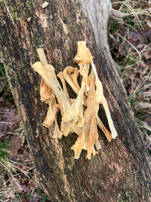 Peau d’agneau - 100g