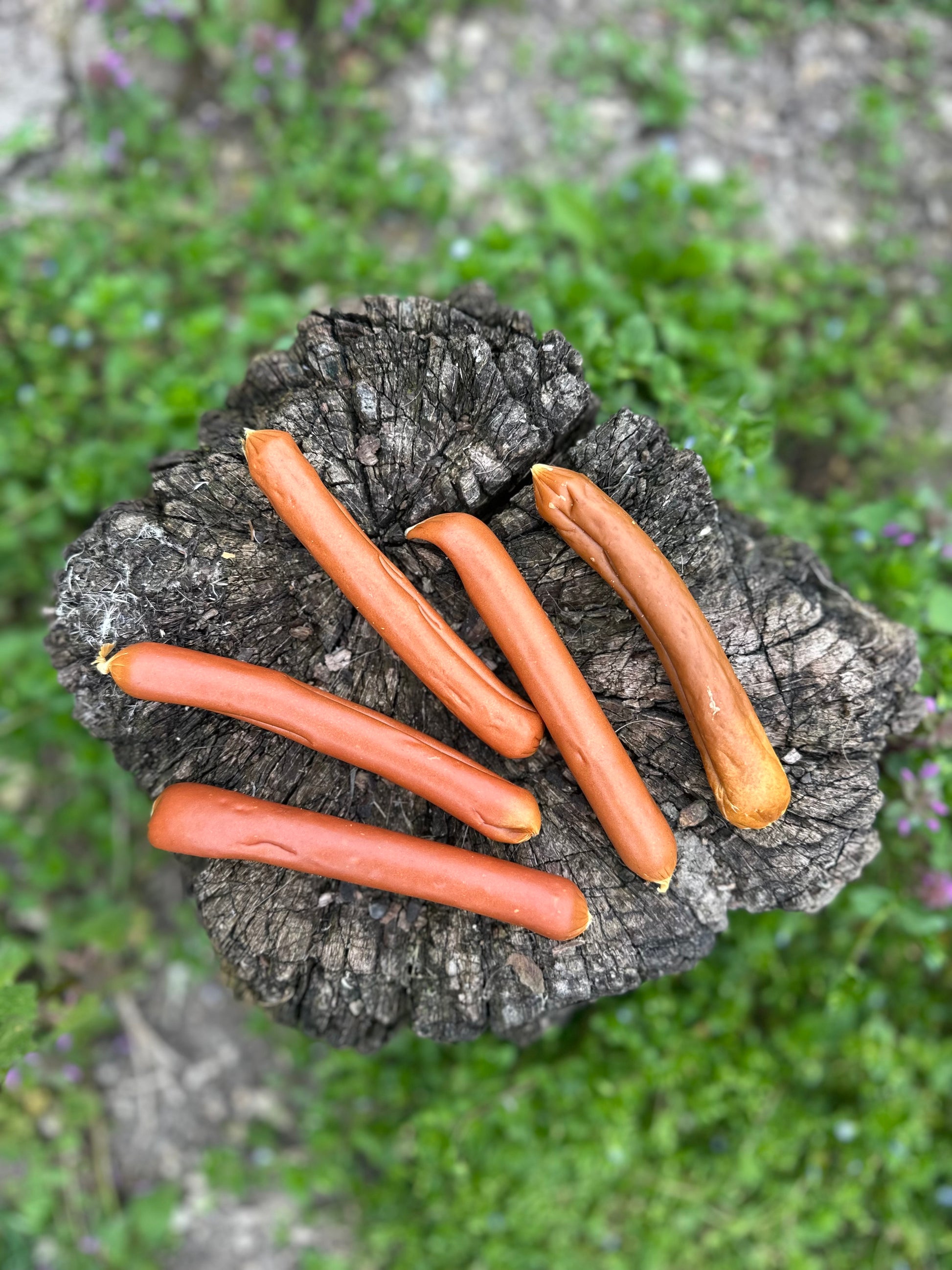 Saucisse de saumon