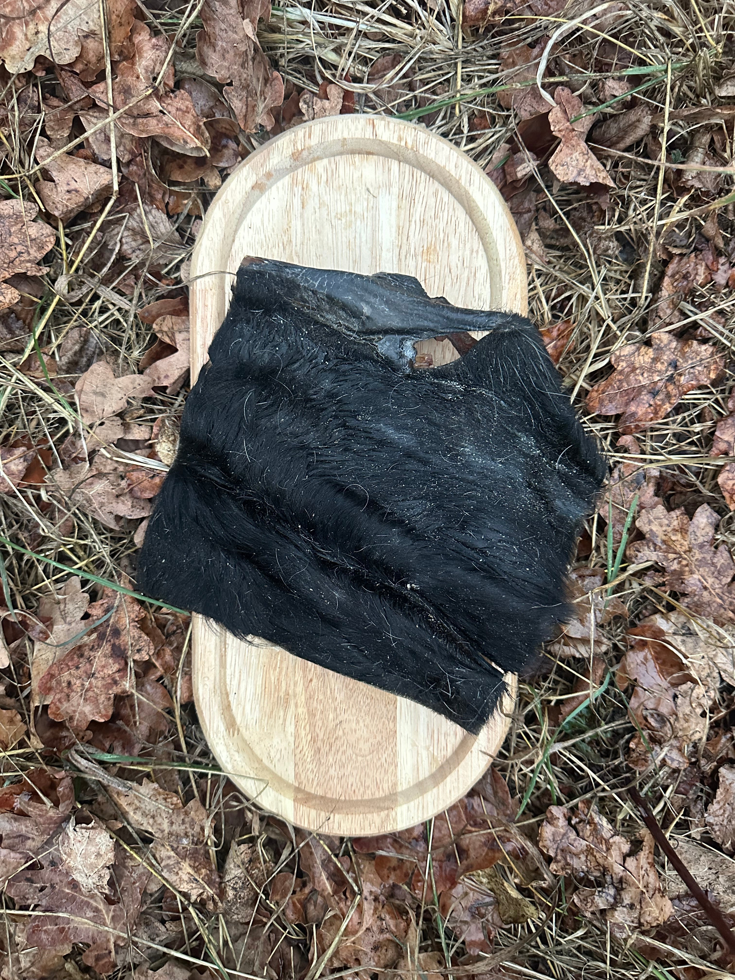Plaque de peau de boeuf avec poils