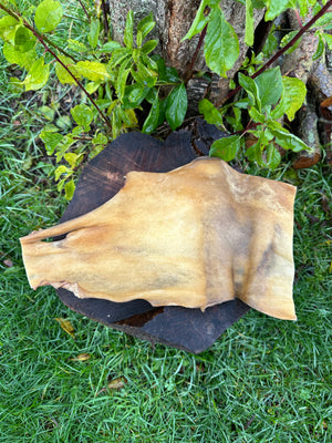 Plaque de peau de bœuf