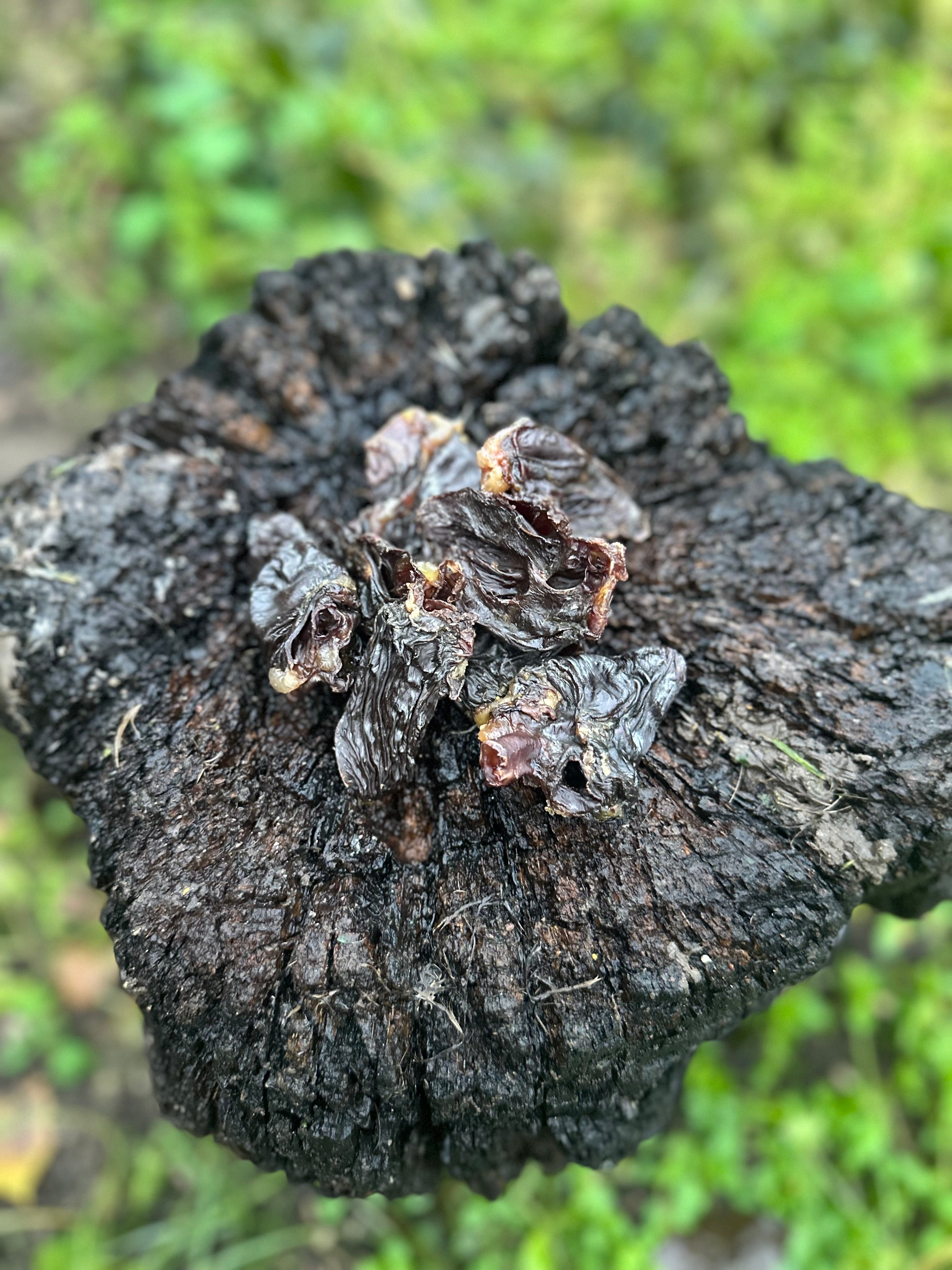 Coeur de dinde - 100g