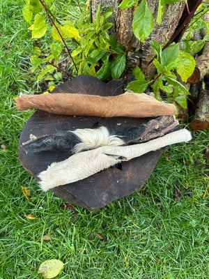 Longue bande de peau de vache