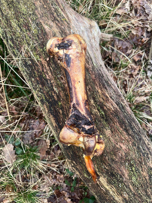 Os d'autruche simple (30cm)