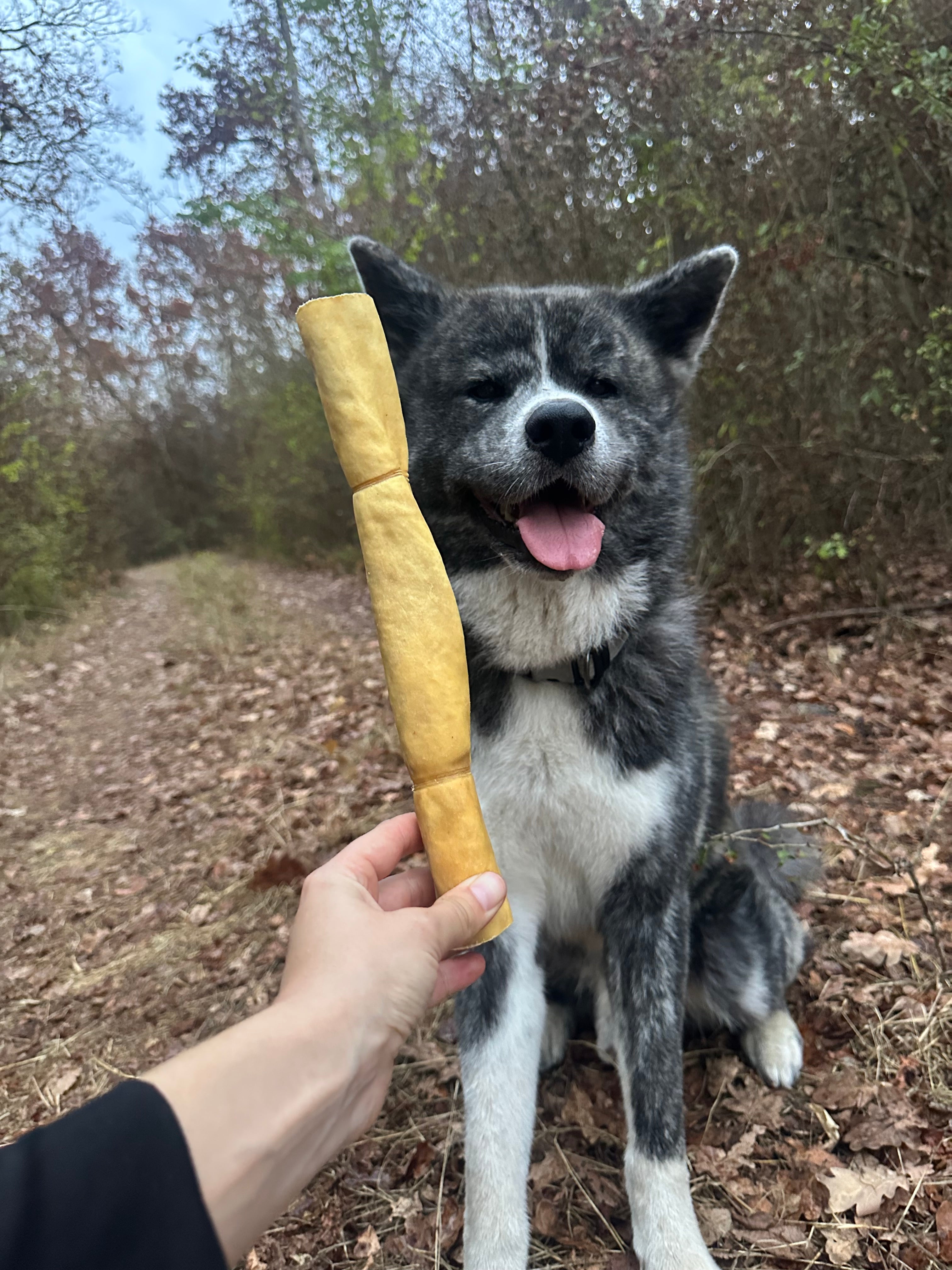 Joue de boeuf roulée 30CM