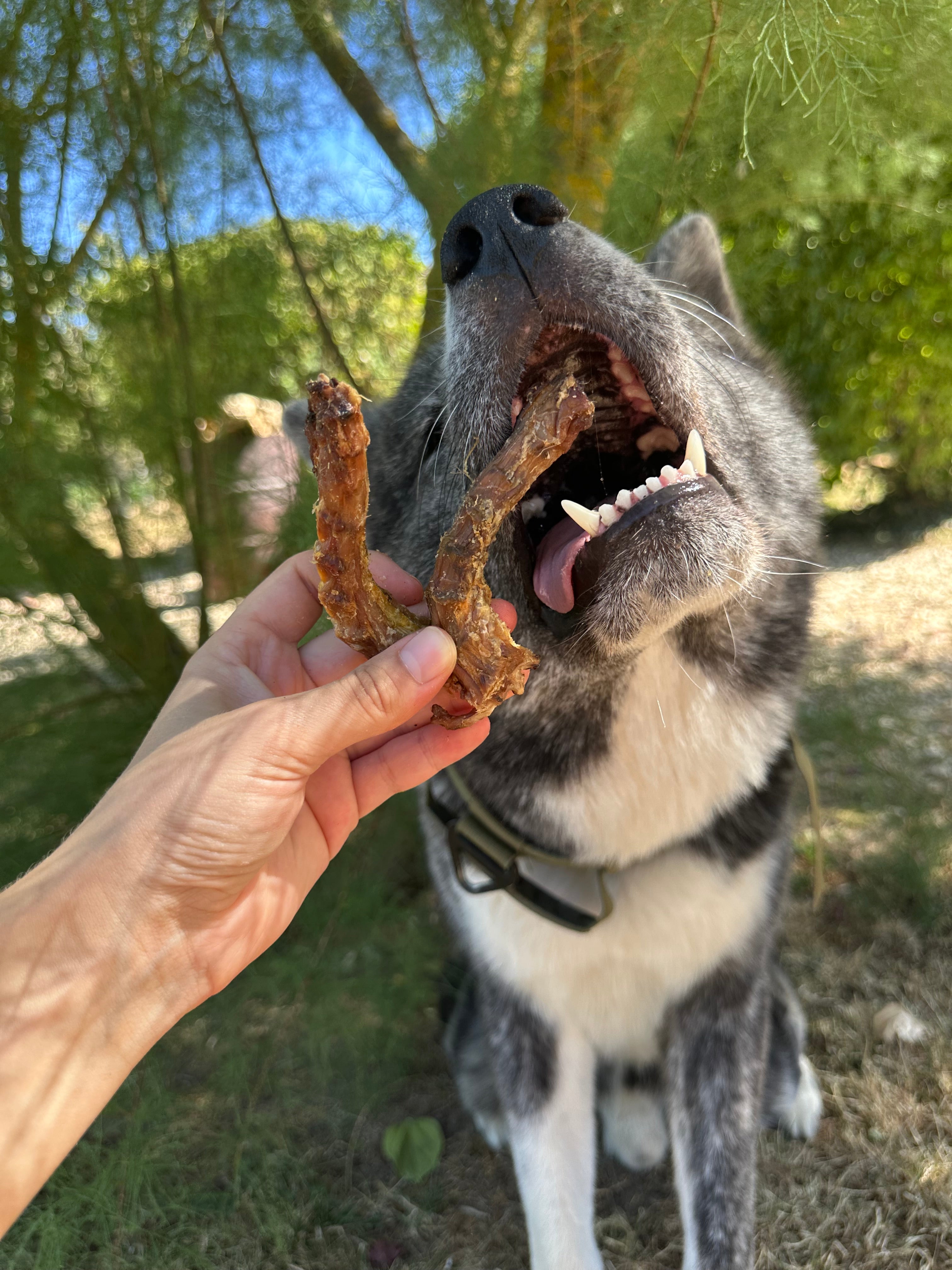 Cou de poulet - 100gr