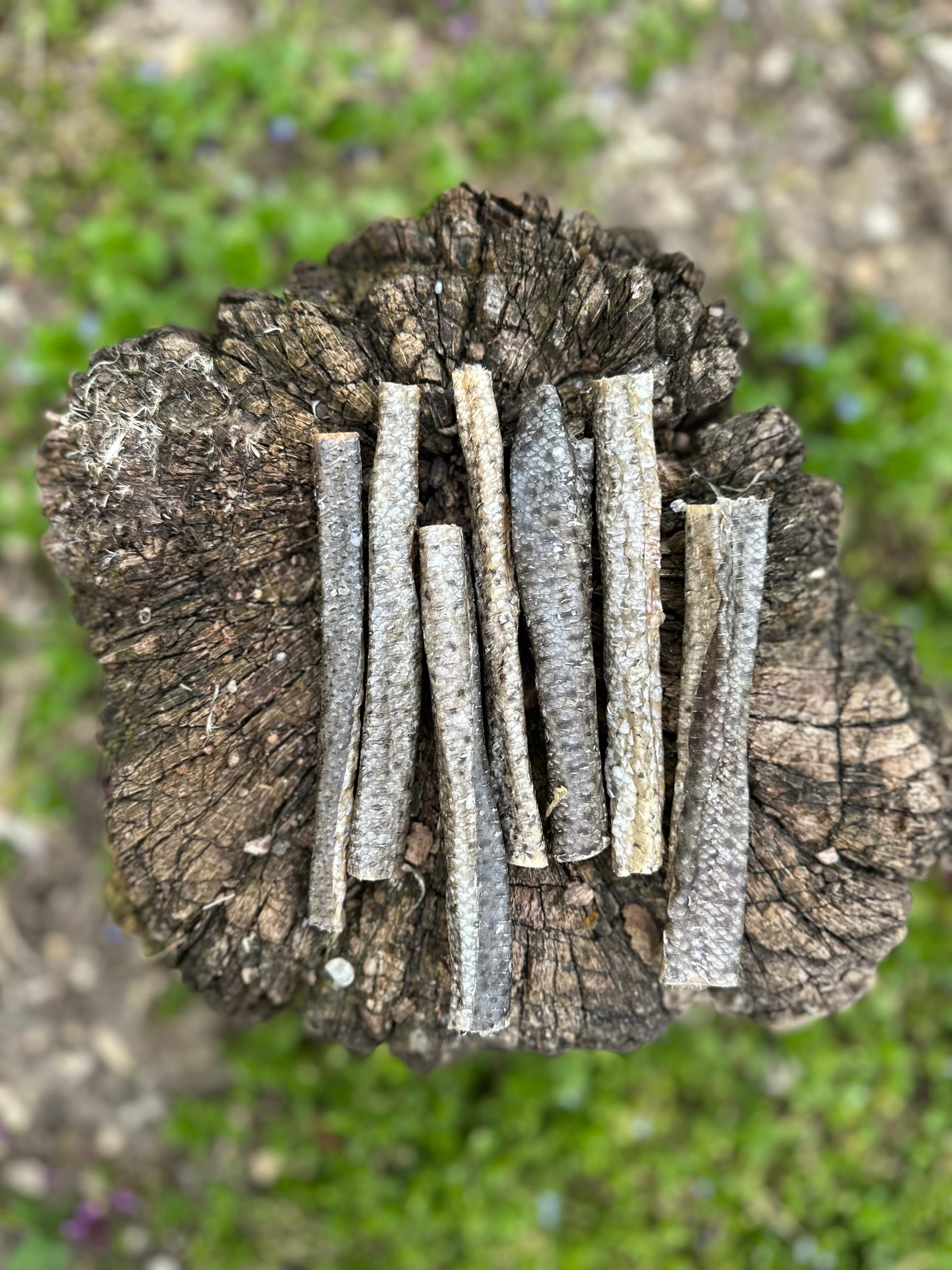 Rouleau de peau de truite saumonée