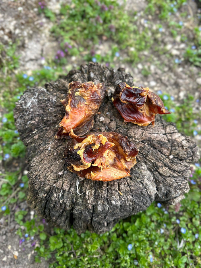 Rotule d'autruche