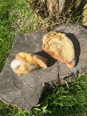 1/2 extrémité d'os de boeuf