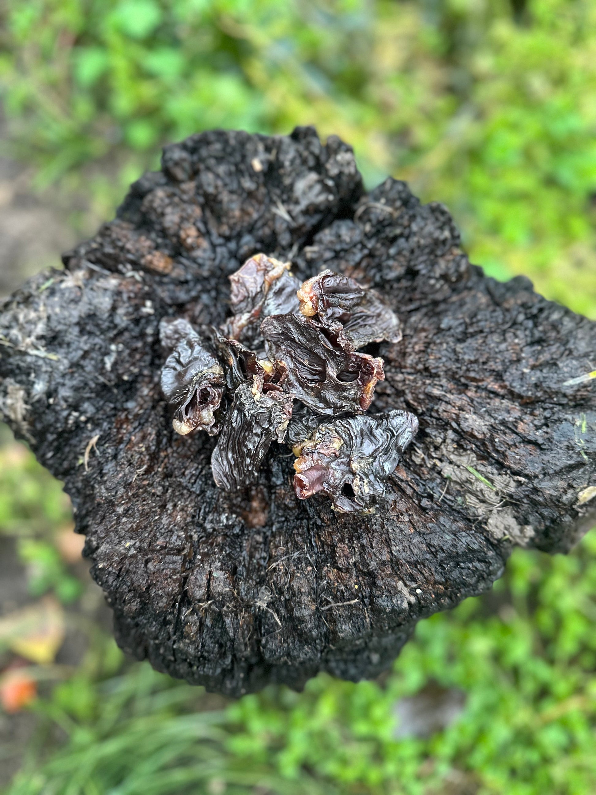 Coeur de dinde - 100g