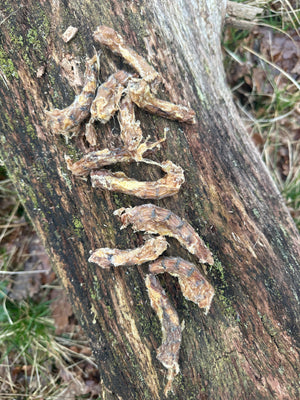 Cou de poulet - 100gr