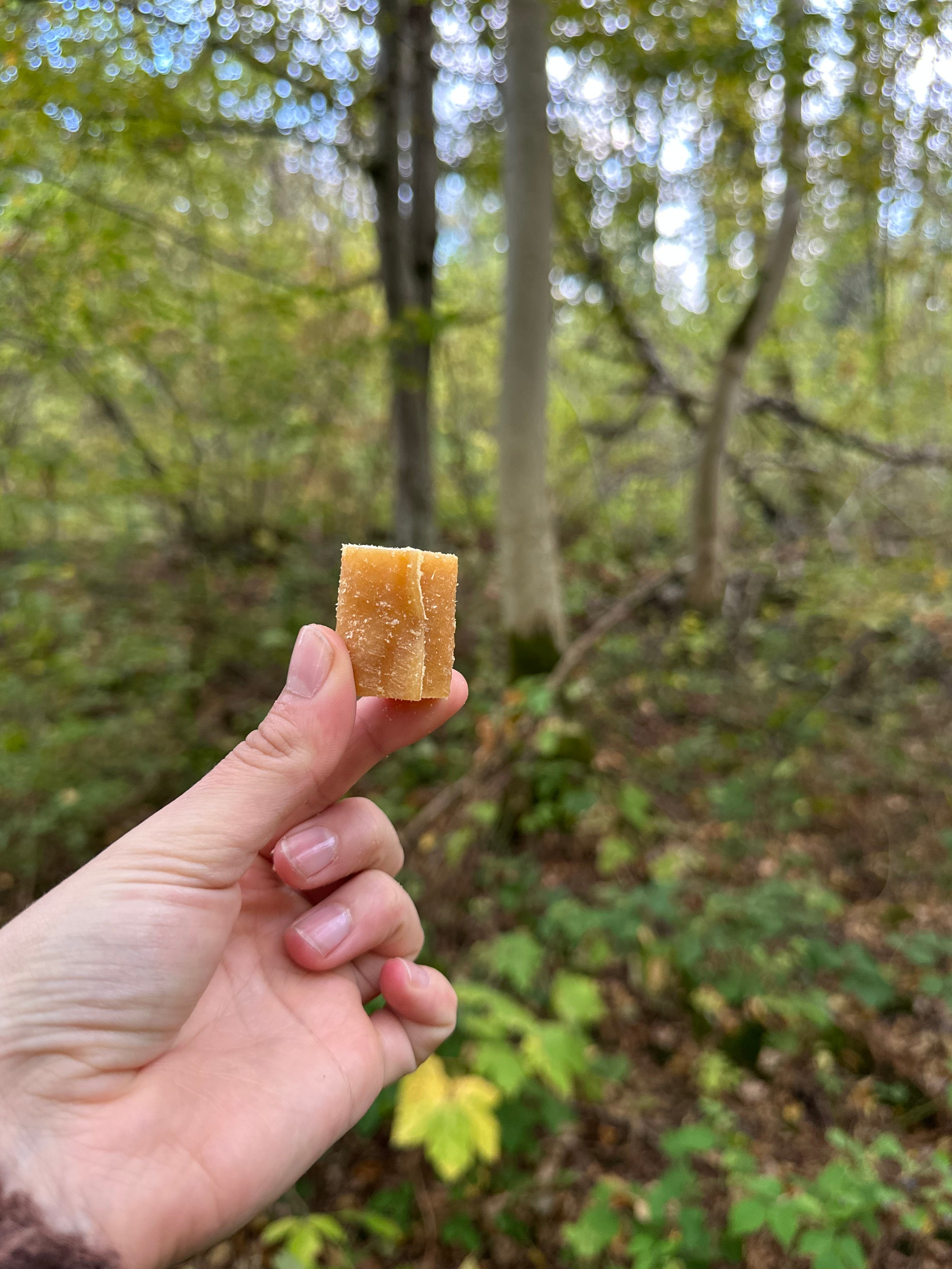 Mini roulée de porc - lot de 10