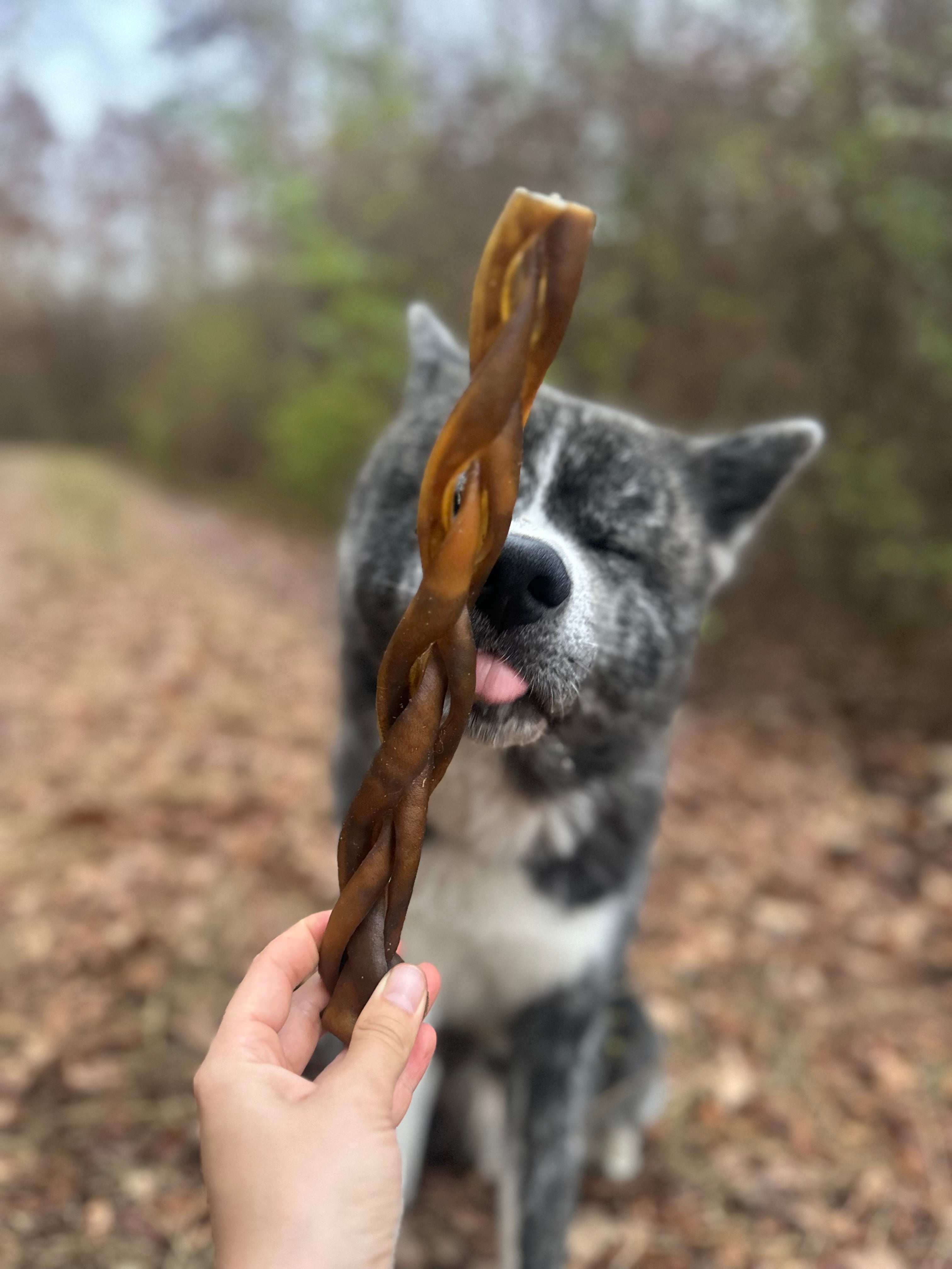Peau de chameau tressée 30CM