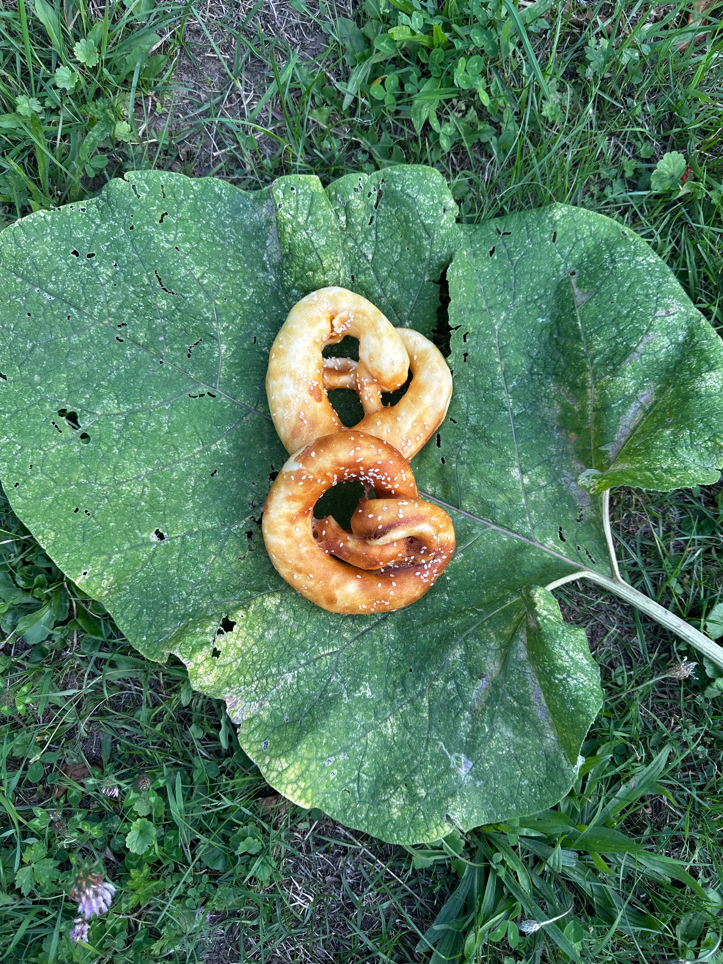 Bretzel poulet, Ø13cm