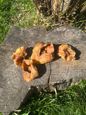 Auricule de cochon