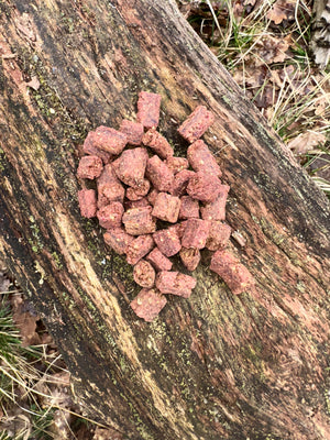 Collation aux insectes - 100g