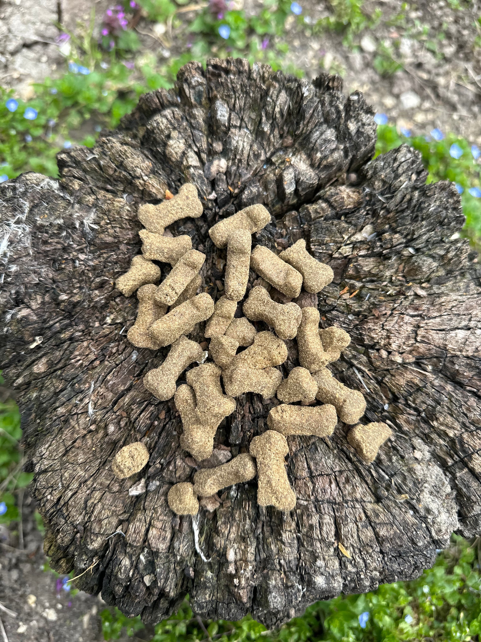 Petit os d'autruche - 100g